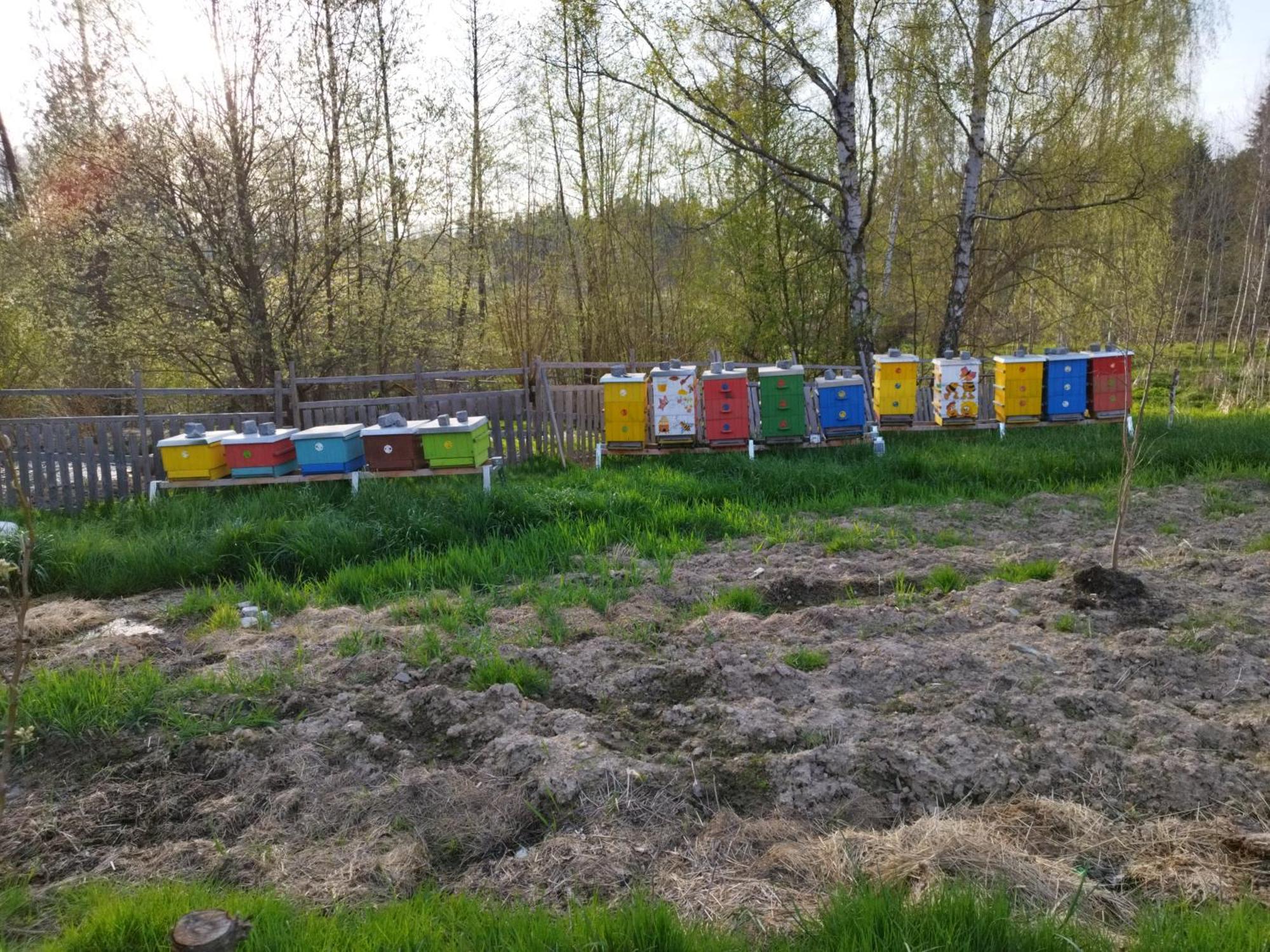Ubytování Chlum 1 Hlinsko Esterno foto